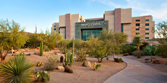 Mayo Clinic Alix School of Medicine: Acceptance Rate & Requirements